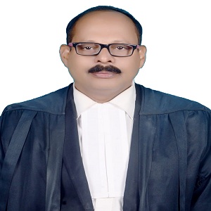 Vice President